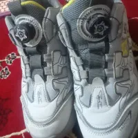 سه جفت کفش|کیف، کفش، کمربند|ملایر, |دیوار