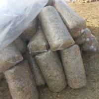 ذرت علوفه بسته ای|لوازم جانبی حیوانات|کنگاور, |دیوار