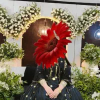 لباس لری استردوزی