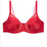 سوتین برند TBN|لباس|تهران, دبستان|دیوار