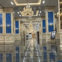 رونیکا-پالاس-دردشت-کف-قیمت-سود-تضمینی