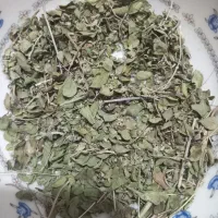 آویشن