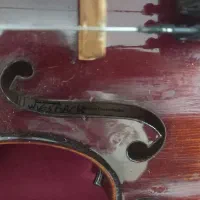 ویولن سالخورده و زیر خاکی