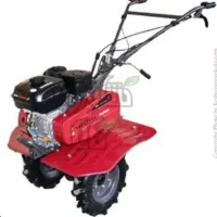 خدمات روتوری باغ در کیاکلا