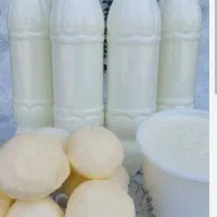 لبنیات محلی