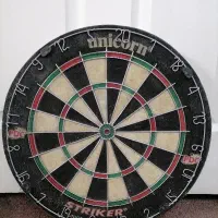 دارت حرفه‌ای