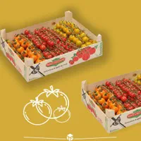کارتن میوه|عمده‌فروشی|اصفهان, مهرآباد|دیوار