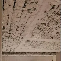 استخدام فوری گچکار