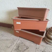 گلدان سفالی|گل و گیاه طبیعی|تهران, قصر فیروزه ۲|دیوار