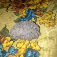 شهاب سنگ و غیره|جواهرات|مهرستان, |دیوار