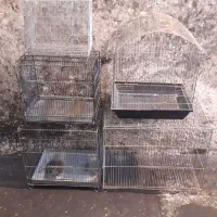 قفس سهره و قناری معاوضه با جوجه سهره