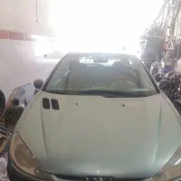 206 دورنگ