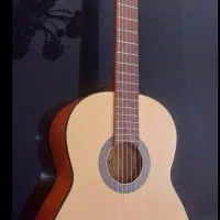 گیتار Cort AC100 SG