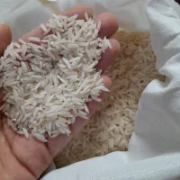 فروش برنج طارم هاشمی (ایرانی)