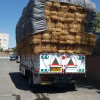 خرید وفروش  نهاده دام|خدمات باغبانی و درختکاری|سبزوار, امیر کبیر|دیوار