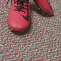 کفش|کیف، کفش، کمربند|اصفهان, جوزدان الیادران|دیوار