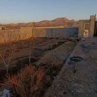 باغ ۱۰۰۰ متری حسین آباد علویجه مهردشت دیوارکشی