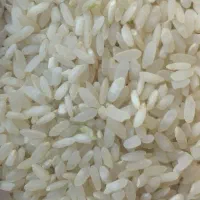 همه نوع برنج درجه با قیمت خوب  بشرط میخای بیا
