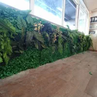 آبنما-دیوار سبز-محوطه-استخر