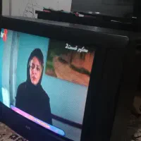 تلوزیون