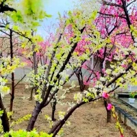 زمین500متر-آب-برق-شهری-سند-اقساط