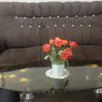 مبل|مبلمان خانگی و میز عسلی|تربت‌حیدریه, قائم|دیوار