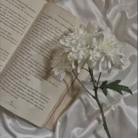 تدریس خصوصی زبان انگلیسی