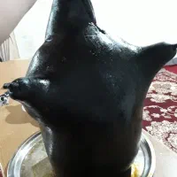 هیزه|ظروف نگهدارنده، پلاستیکی، یک‌بارمصرف|اسلام‌‌آباد غرب, |دیوار