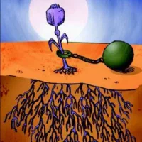 ترک اعتیاد بدون درد خماری