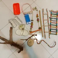 وسایل پرنده قفس حیوانات