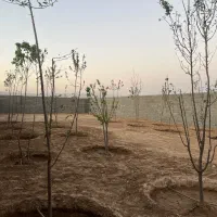 قطعات 550‌ متری جاده کلاکوب گنبدباز آب برق سندار|فروش خانه و ویلا|مشهد, نوچاه|دیوار
