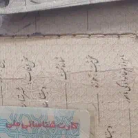 مدارک شناسایی به نام نرگس شفیع الوار