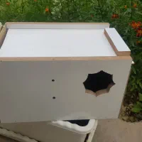 خانه * عروس *هلندی