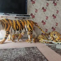 خانواده ببر