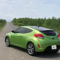 ولستر پلاک منطقه ازاد