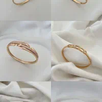 تکدست مجلسی