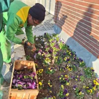 خدمات باغبانی و فضای سبز