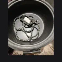 پلوپز مارشال