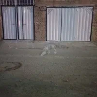 نقاشی ساختمان