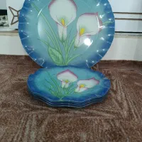 ظرف و دیس و پیش دست