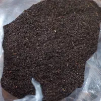 چای|خوردنی و آشامیدنی|قم, شهرک امام حسن|دیوار