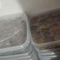 خرما و رطب برحی شهریور|خوردنی و آشامیدنی|قم, صفائیه|دیوار