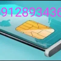 زیبارند تکدانه سیم