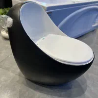 توالت فرنگی|لوازم سرویس بهداشتی|شیراز, سینما سعدی|دیوار