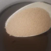 مخمرنانوایی درجه ا