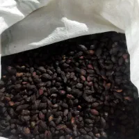 زرشک قرمز و زغال اخته خشک|عمده‌فروشی|شهریار, شهرک وائین|دیوار