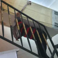 باربری کاج،حمل کالا و اثاثیه منزل با کادر مجرب