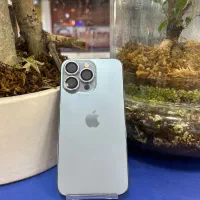 iphone 13pro|موبایل|قم, چهل درخت‎|دیوار