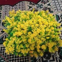 گل گیاه مصنوعی|ماهی|شیراز, شیشه‌گری|دیوار