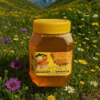 عسل طبیعی اصل مستقیم وبی واسطه از کندو دار